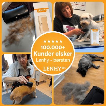 Lenhy™ - hundebørste